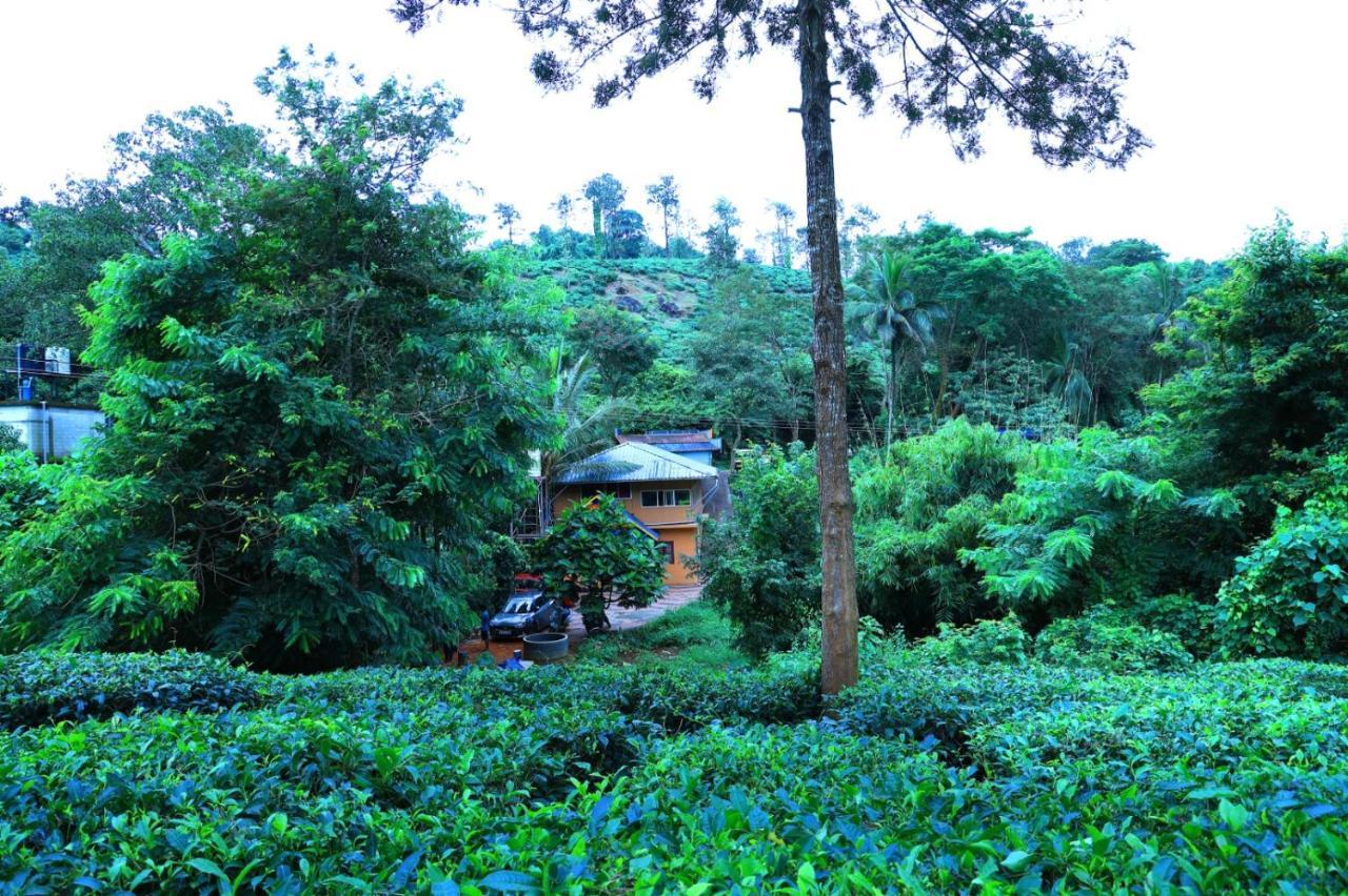 Green View Holiday Home Vythiri Exterior photo